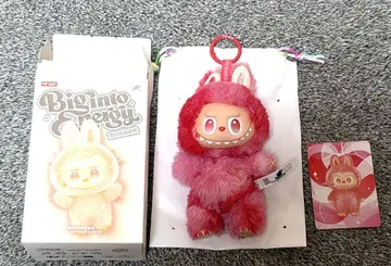 러브브 Big into Energy 에너지 POP MART LOVE