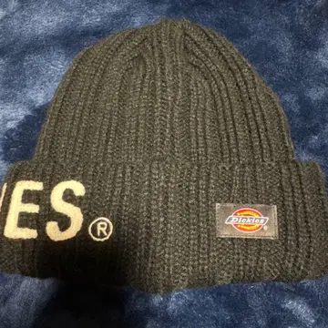 Dickies 비니