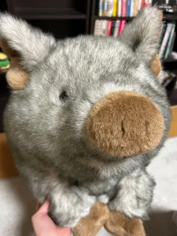 토이저러스 animal alley 돼지 봉제 인형