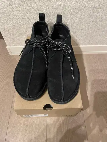 Clarks Desert Trek GTX