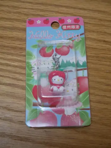 미사용 새상품 고토치 키티 신슈 한정판