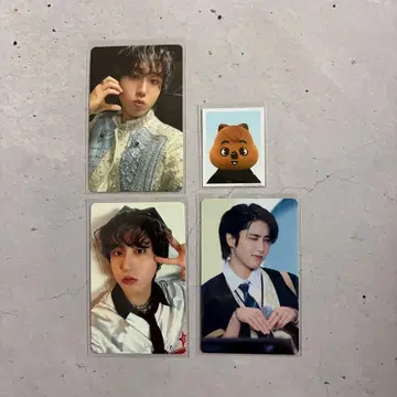 straykids 트레이딩 카드 한