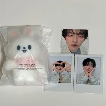 straykids skzoo 리빗 10cm 포토카드 세트