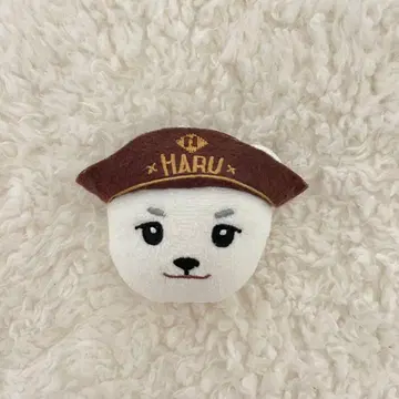 NEXZ NEXZOO OneBite 하루베어 하루 인형 배지