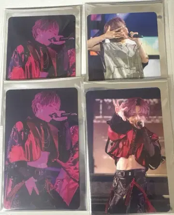 우라시마사카타센 우라타누키 랜덤 미니 포토 카드