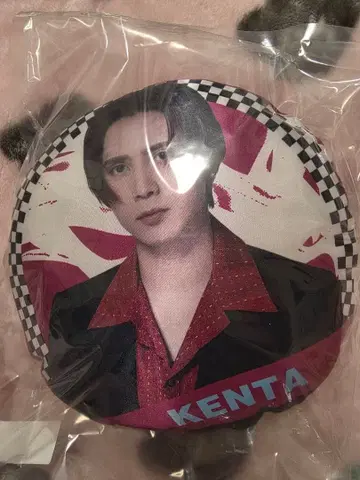 THE RAMPAGE 레어 캡슐 대폭년회 카미야 켄타 쿠션