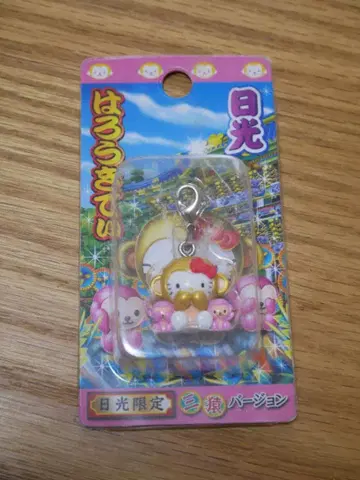 미사용 새상품 고토치 키티 닛코 한정판