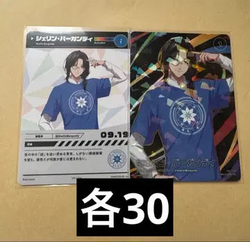 셰린 버건디 니지페스 콜렉션 카드 N R 각 30점