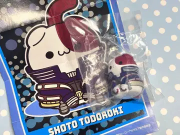 히로아카 냥코 토도로키 쇼토