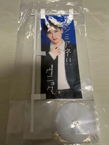 [ 미개봉 새상품 ] SS10 일본 공식 굿즈 20주년 스파쇼10 은혁