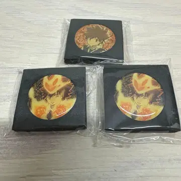 가정교사 히트맨 리본 아메코레 메달 사와다 츠나요시 초사망의 3개 세트