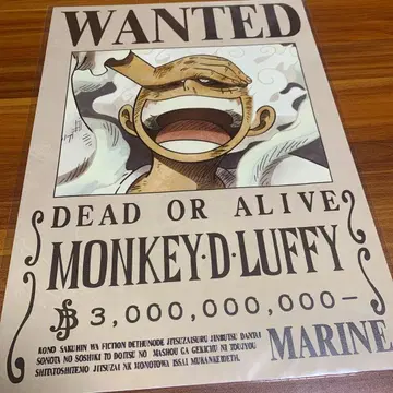 ONE PIECE 원피스 수배서 루피 니카