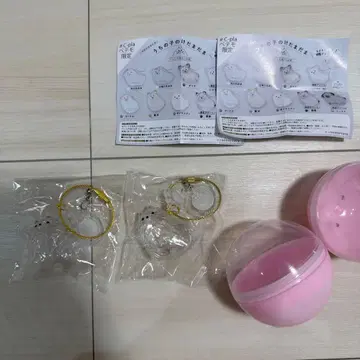 우리 아이 털뭉치 #C-pla 페테모 한정판