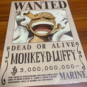 ONE PIECE 원피스 수배서 루피 니카 2