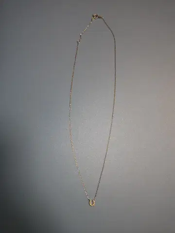 Jouete K10 호스슈 목걸이