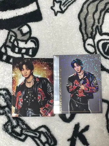 사와모토 나츠키 EXILE 트레이딩 카드 시크릿