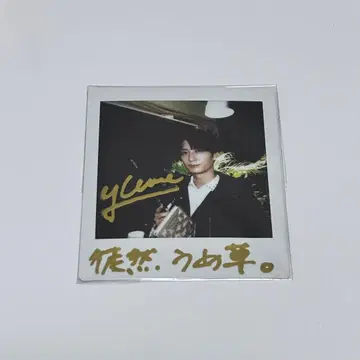 우메하라 유이치로 사인 폴라로이드