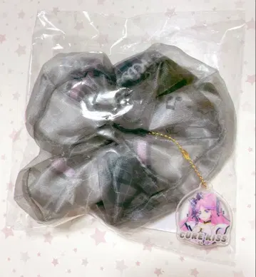 너와 아이돌 프리큐어 드림 스테이지 참 포함 스크런치 큐어 키스