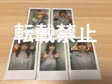 PIGGS 초기 멤버 폴라로이드