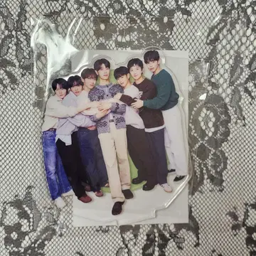 EVNNE 랜덤 토이 집합 아크릴 스탠드