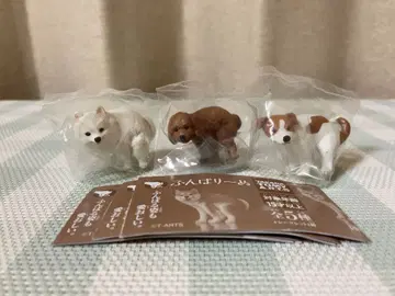 굼틀굼틀 굼틀굼틀 3개 토이 푸들 포메라니안 잭 러셀