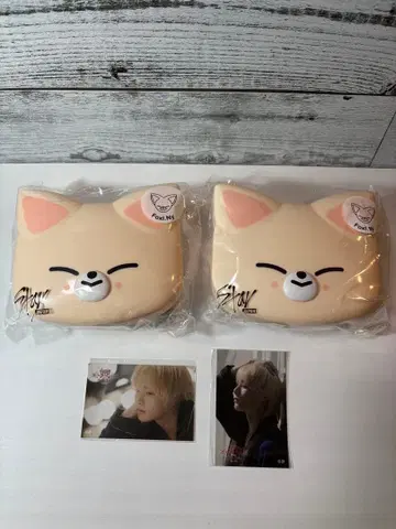 Foxl.Ny 폭시니 미니 박스 & 스티커 세트