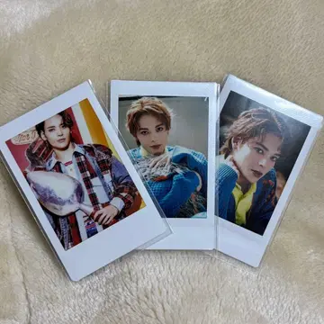 츠보쿠라 야스하루 폴라로이드