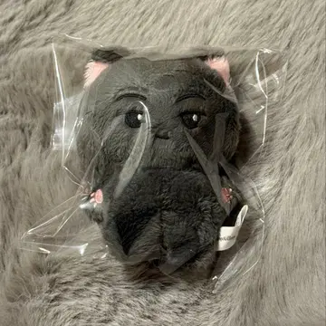 ENHYPEN 제이 JAY 마스터 봉제 인형 10cm 굿즈