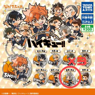 하이큐 아크릴 키링 스가와라 코시