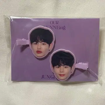 EVNNE 팬미팅 굿즈 헤어 클립 아크릴 헤어 클립 문정현