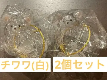 치와와 화이트 2세트 우리 아이 털뭉치