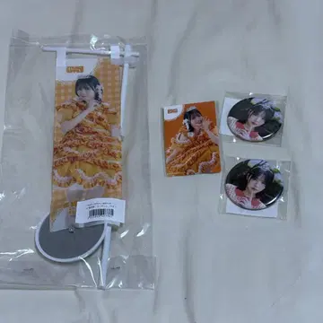 진제 스즈카 스키 복권 묶음 판매