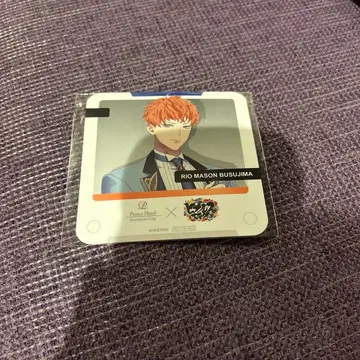 독시마 메이슨 리오 코스터