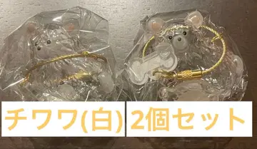 치와와 화이트 2세트 우리 아이 털뭉치