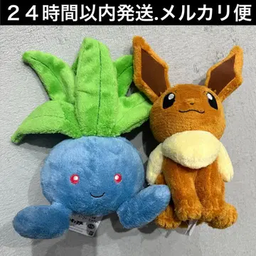 포켓몬스터 다정한 마음 봉제 인형 나조노쿠사, 이브이