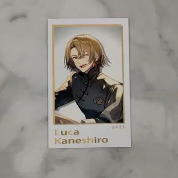 니지산지 루카 폴라로이드 sitr 상하이 공연