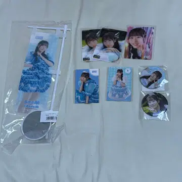 마나카 마나 스키 복권 묶음 판매