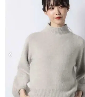 ANAYI 라쿤 천축 퍼프 슬리브 풀오버