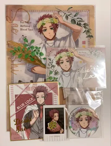 이토시 사에 묶음 판매 미사용 블루 록