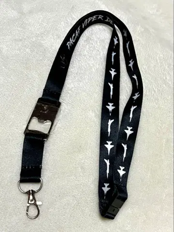 PACAF VIPER DEMO 미 공군 F16 데모팀 넥스트랩