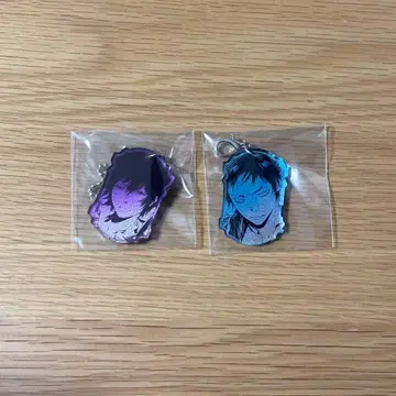 아마노 아키라 전시회 메탈릭 아크릴 참 히바리 야마모토