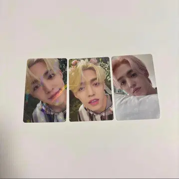 SEVENTEEN 에스쿱스 heaven