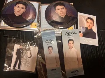 SEVENTEEN Vernon NEW 일콘 세트