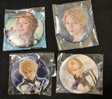 안스테 나루카미 아라시