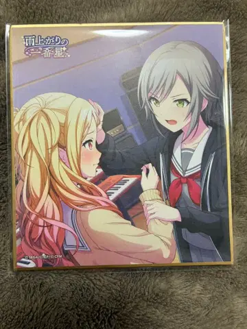 프로세카 색지 3B 비 갠 뒤의 첫별