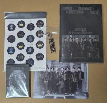 straykids 스키즈 FORCE 시즌 그리팅 키링 미니 포토북