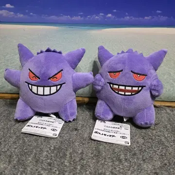 포켓몬 여러 가지 얼굴 봉제 인형 겐가 2체 세트
