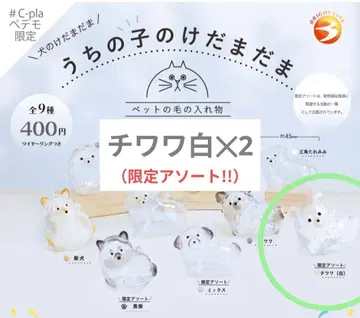 우리 아이 털뭉치 캡슐 토이 치와와 2마리 정품 페테모