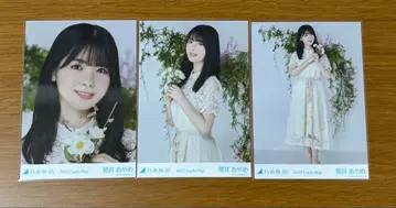 노기자카46 츠츠이 아야메 2022 Lucky Bag (달력 의상)