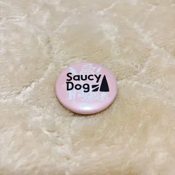 레이디클 캔뱃지 사우시